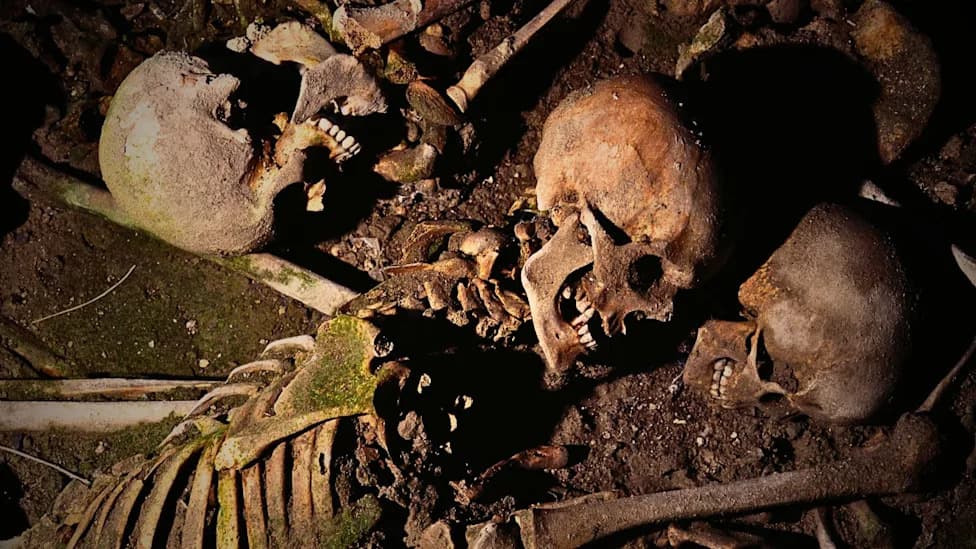 New Study Maps How the Black Death Reappeared Across Europe for Centuries — Using Ancient Genomes and Historical Records