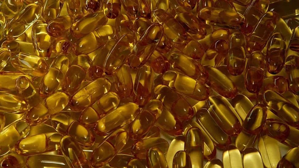 Omega-3 Reality Check: Brain DHA Rose — But Memory and Cognition Did Not Improve