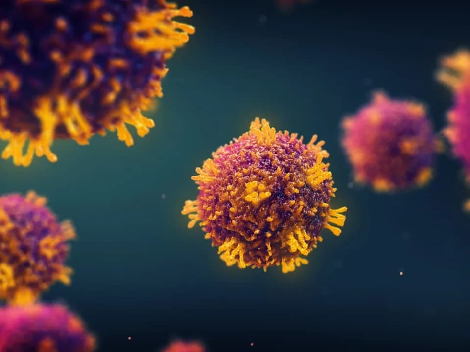 Study Warns Cutting School Vaccine Mandates Could Trigger Largest U.S. Measles Outbreak In 50 Years