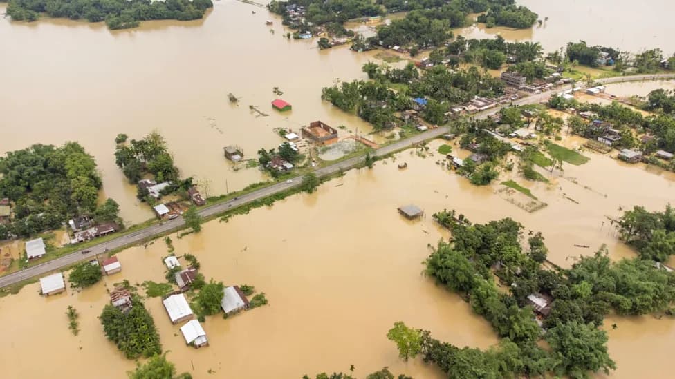 Monsoon Deluge: 56 Dead in Uttar Pradesh, Nepal Reports 12 More Fatalities as Rivers Surge