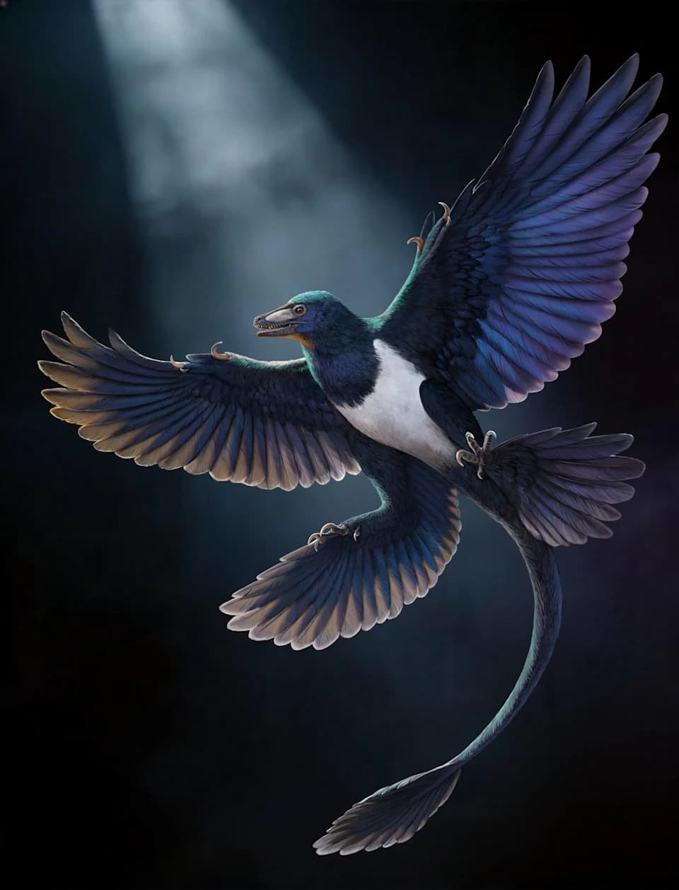 Four-Winged Dinosaur Norellraptor barsboldi Adds Strong Evidence That Flight Evolved Independently