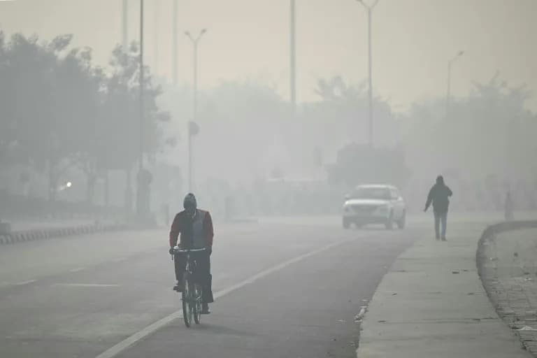 One-Third of World's Population Exposed to Dangerous Ozone Levels, EU Monitor Warns