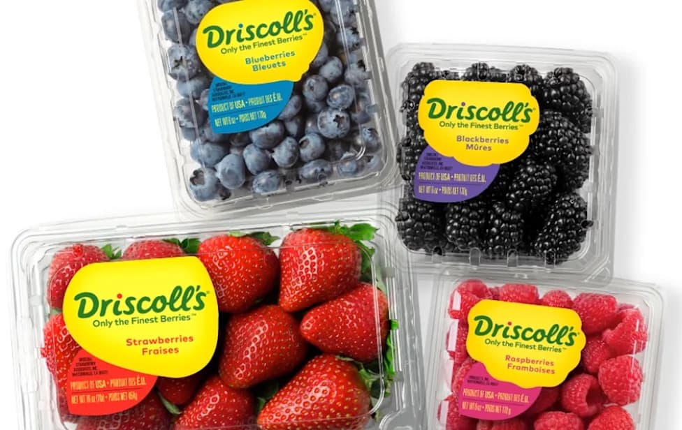 Whistleblower Alleges Millions Of Driscoll's Berry Trays Shipped To Canada Exceeded Pesticide Limits — Company Denies Claims