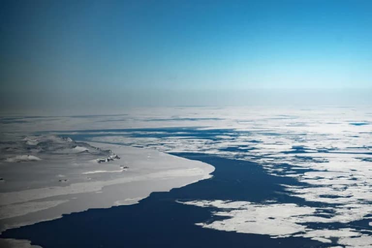 Polar Oceans Transformed: Arctic Warming, Vanishing Sea Ice and Threatened Penguins — Copernicus Report