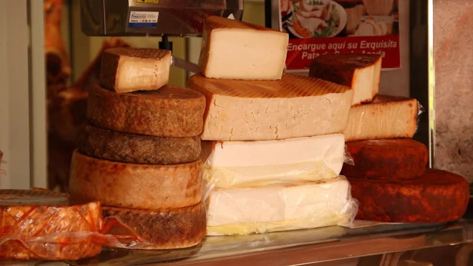 Nationwide Recall: Sierra Nevada Recalls All Graziers Raw Milk Cheese After E. coli O26:H11 Outbreak