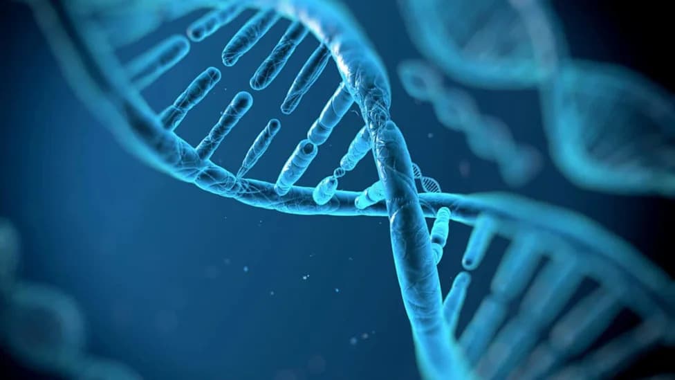 What Happens To Your DNA After Death? New Research Reveals Surprising Postmortem Activity