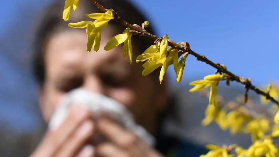 High Pollen Days Tied to Up to 7.4% Rise in Suicide Risk, Study Finds