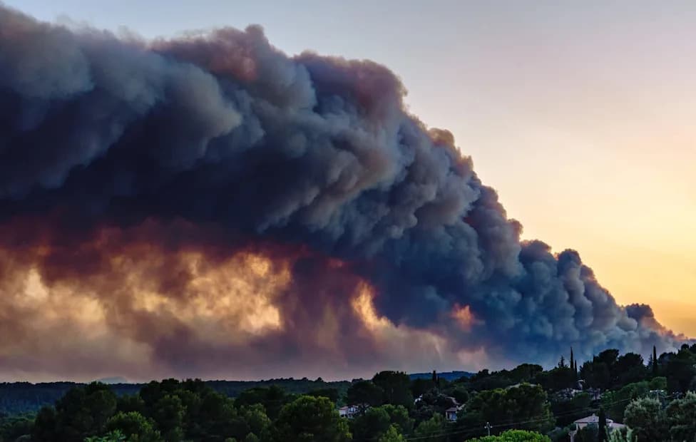 France Extinguishes Largest Wildfire Since 1949 After Weeks of Underground Smouldering