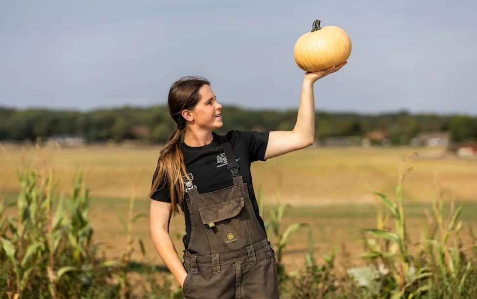 Pumpkin Patches Under Threat: Heatwaves Could Slash Hallowe'en Supply