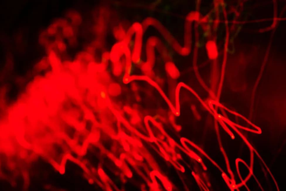 Engineer Builds 'AI Torture Chamber' to Trigger Reported 'Pain Axis' — Sparks Ethical Outcry