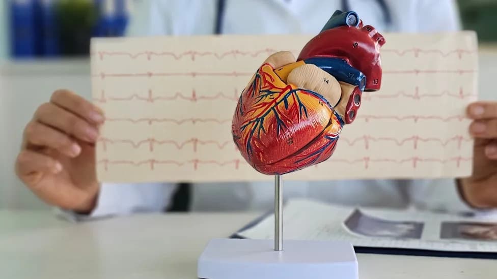 FDA Expands Camzyos Approval To Include Pediatric Patients With Obstructive HCM