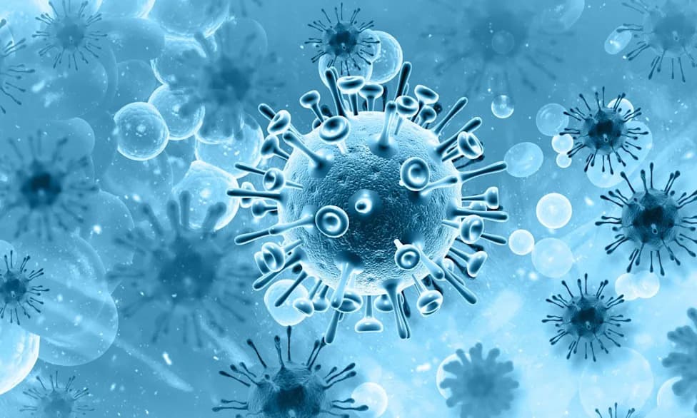 A 'Third State' Between Life and Death? Xenobots, Anthrobots and the Debate Over Cellular Agency