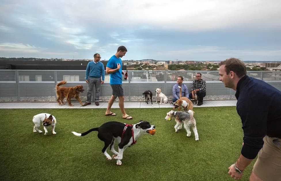 Washington D.C. Enacts "Roscoe's Law": Landlords Can No Longer Ban Dogs By Breed, Size or Weight