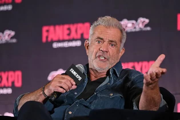 Ex-DOJ Attorney Says Gun-Rights Plan Was Shaped Around Mel Gibson — She Was Fired, Lawsuit Alleges