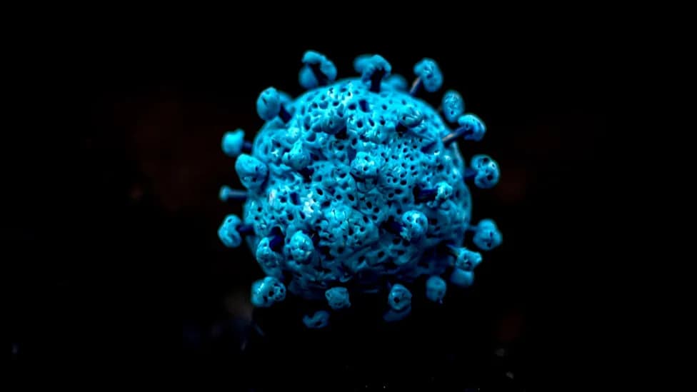Almost 12,000 Deep‑Sea Viruses Discovered in Mining Zone — 99% Are New to Science