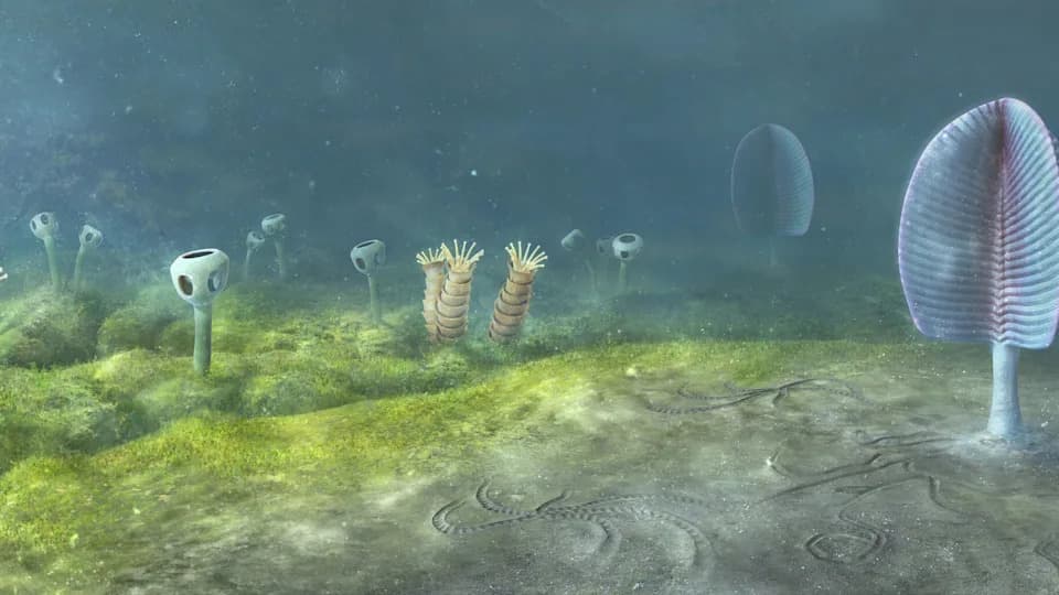 New Study Suggests Animals Could Have Originated 700–800 Million Years Ago — Up To 200 Million Years Earlier