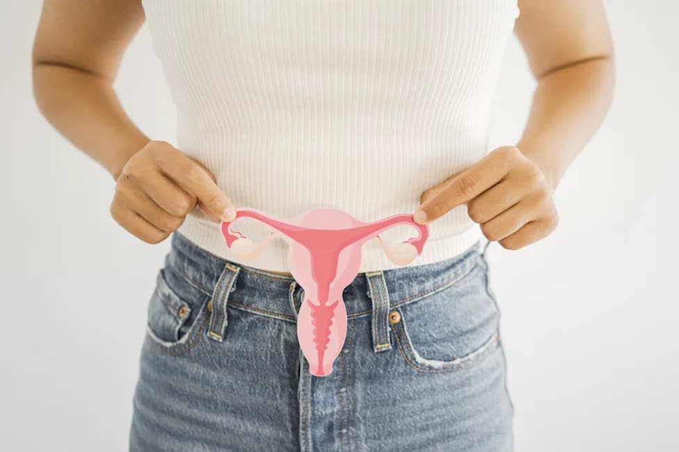 Rediscovered Rete Ovarii: The Small Ovarian Structure Making a Big Comeback
