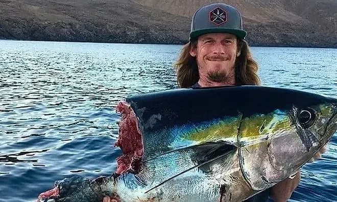 Underwater Footage Shows Great White Snatching Fishermen's Catch — A Growing Problem Off Cape Cod
