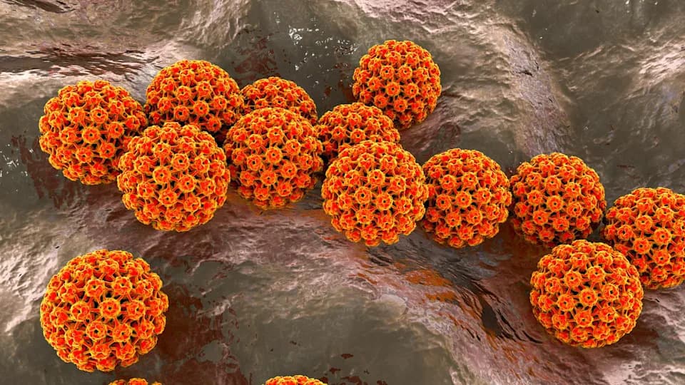 One in Eight Cancers Tied to Infections — Vaccines and Testing Could Prevent Millions