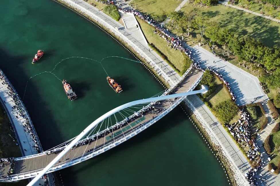 Second Rescue Fails to Free 3.5m Shark Stranded in Busan Canal