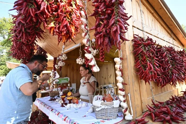 Hungary’s Paprika At Risk: Farmers Battle Drought, Cheap Imports and Labour Shortages