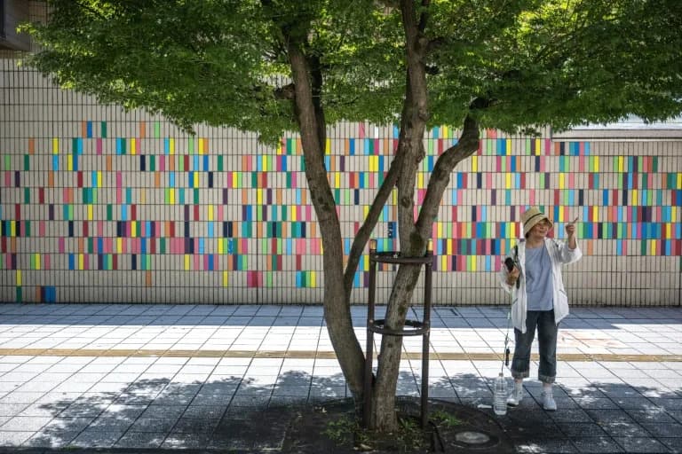 Act Before It's Too Late: Tokyo Residents Demand More Trees As Heatwaves Intensify