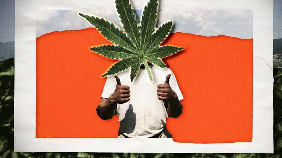 Georgia Supreme Court Curbs Police-Power Immunity After $37,000 Hemp Destruction