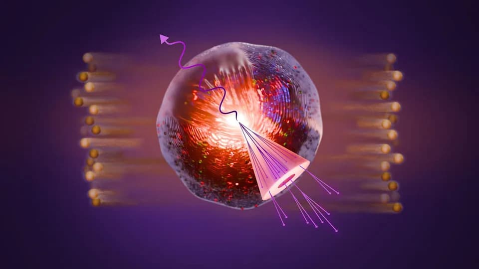 Collider Recreates the Early Universe — Unexpected 'Dip' Could Point to a Nuclear Critical Point