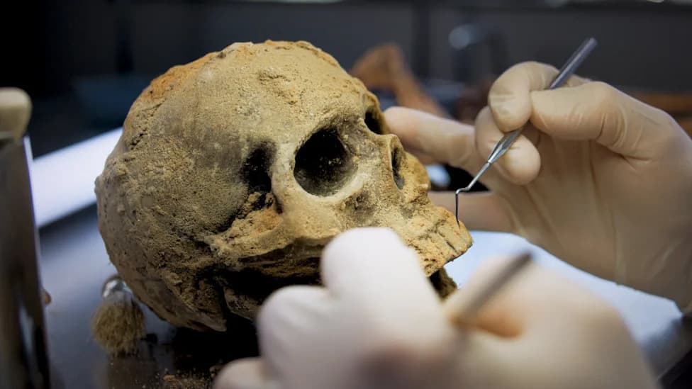 New Forensic Review Strengthens Case for Retainer Sacrifice Around Egypt’s First Kings