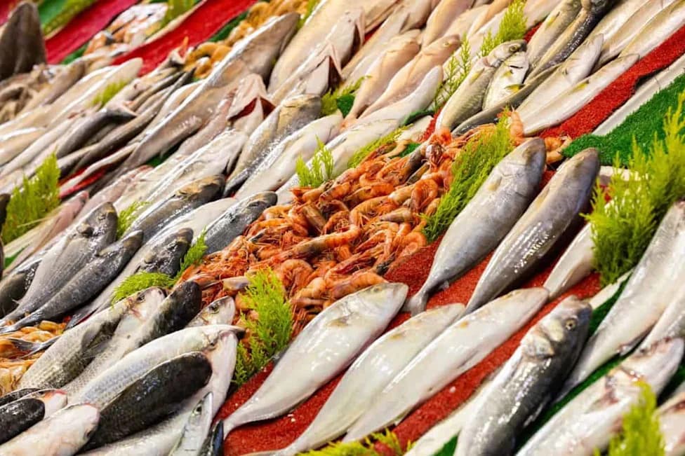 Study: Nearly Half of Mediterranean Commercial Fish Have Shifted — Often South and Southwest