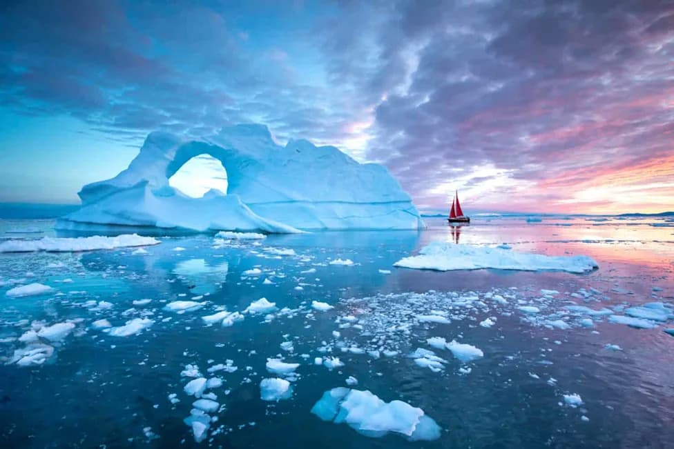 Hidden Metropolis Beneath Antarctic Ice: Robot Films 1,036 Fish Nests