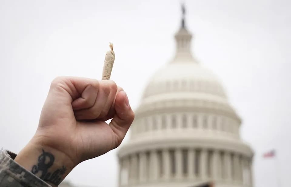 Major Cannabis Firms Fund Pro‑Trump PAC That Backs Republicans Who Oppose Legalization