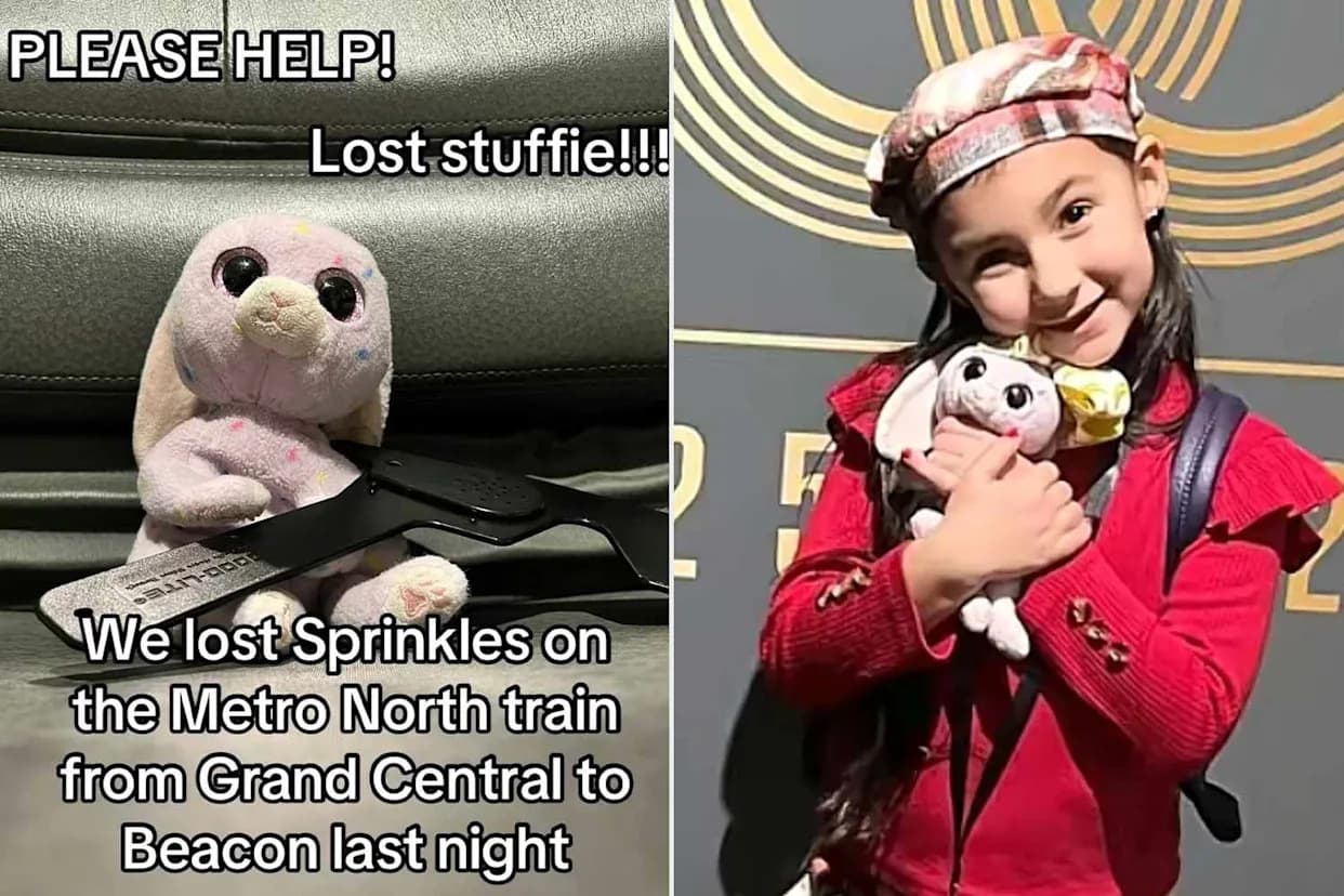 Community Rallies After 7-Year-Old’s Beloved Bunny Goes Missing On Metro‑North