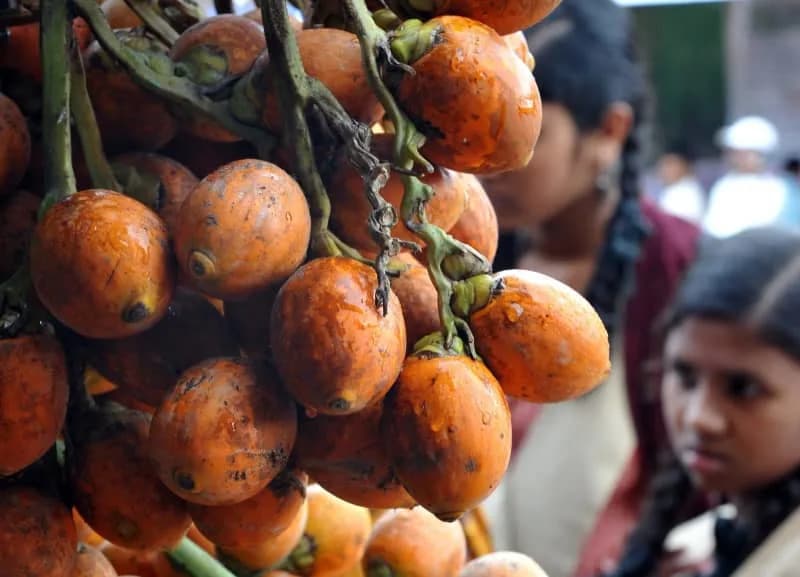 4,000-Year-Old Biochemical Evidence Suggests Betel Nut Chewing in Southeast Asia
