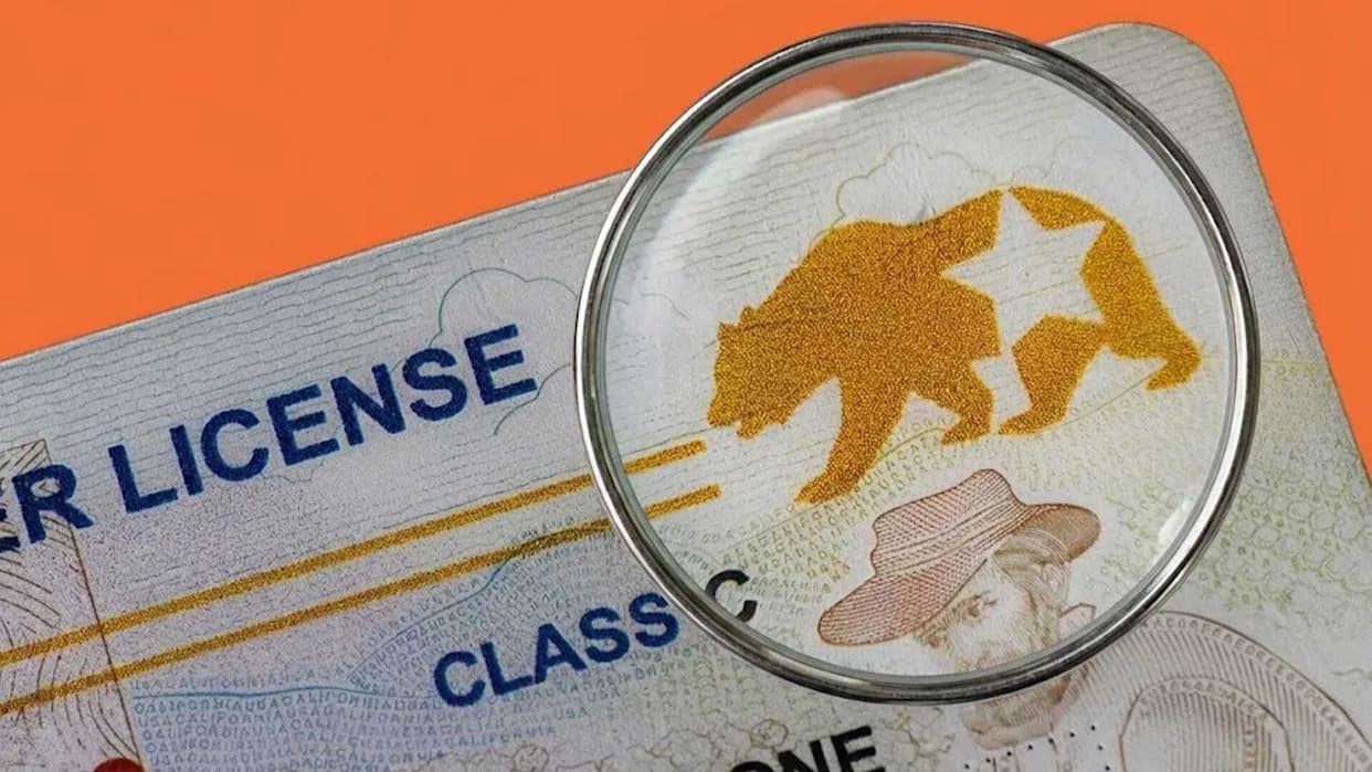 DHS Says Its Own-Certified REAL ID "Can Be Unreliable" To Confirm U.S. Citizenship — Citizen Detained Twice