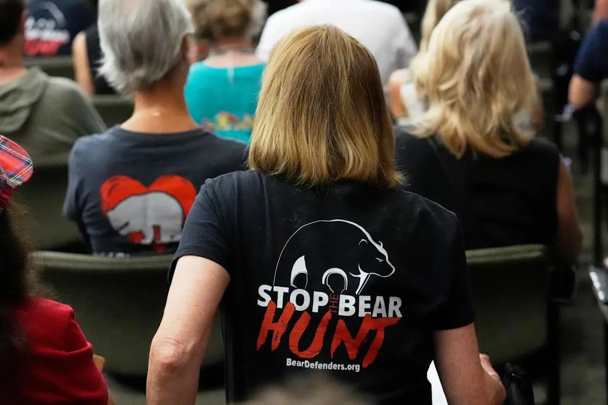 Florida’s Controversial Black Bear Hunt Draws Outcry After 52 Killed During Three-Week Season