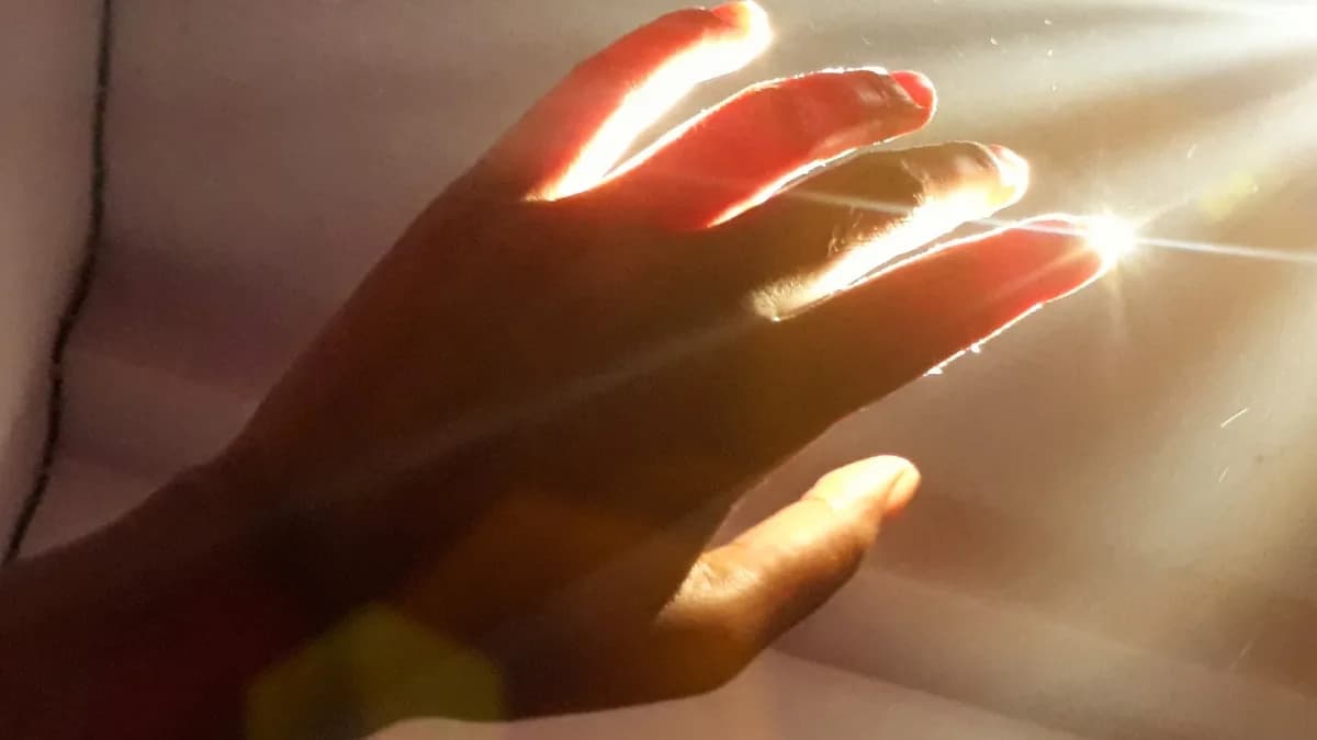 Living Tissues Emit a Faint Visible Glow That Fades at Death, Study Finds