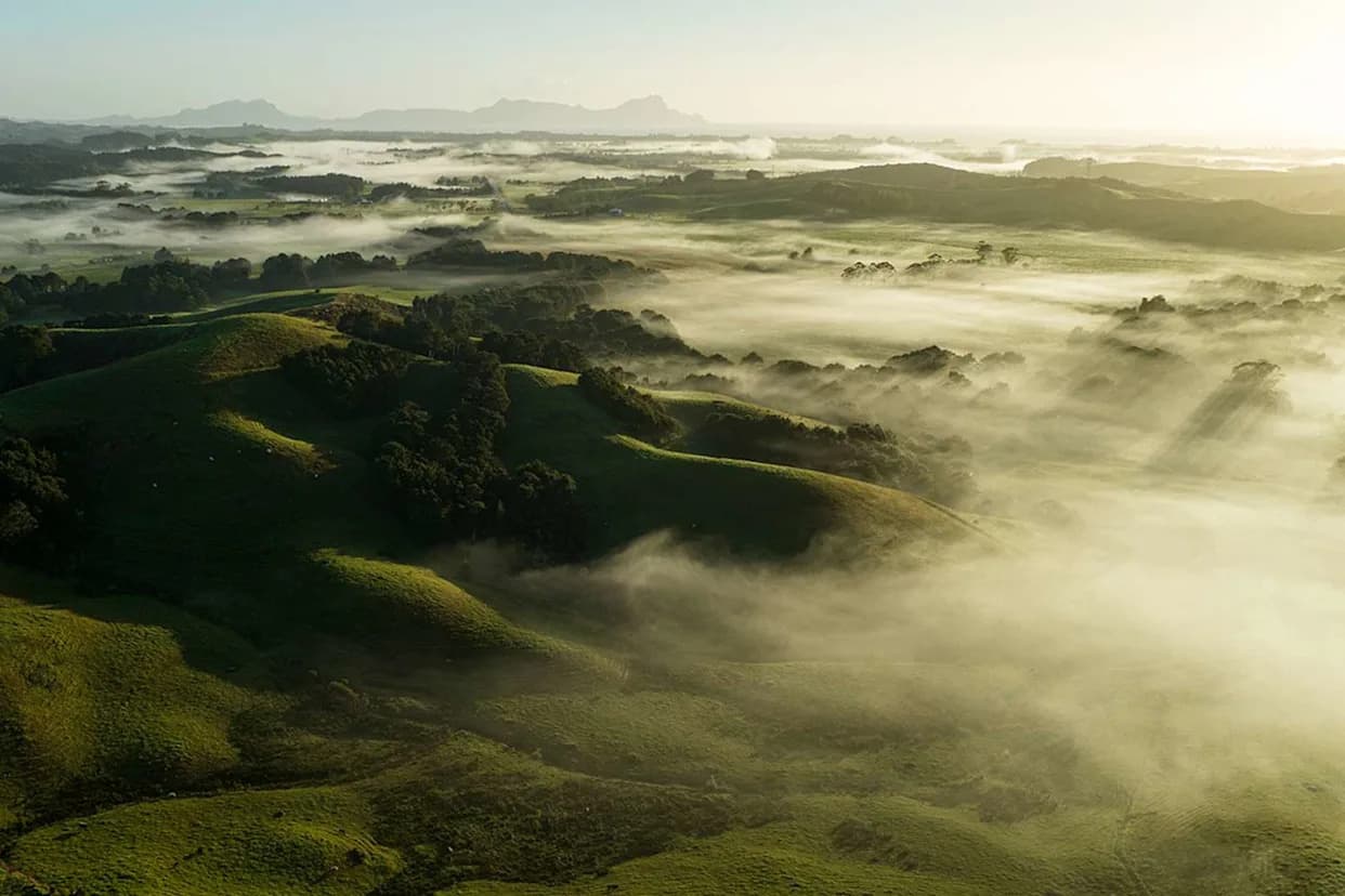Fog Harvesting Could Become a Viable Water Supplement for Arid Coastal Cities, Study Finds