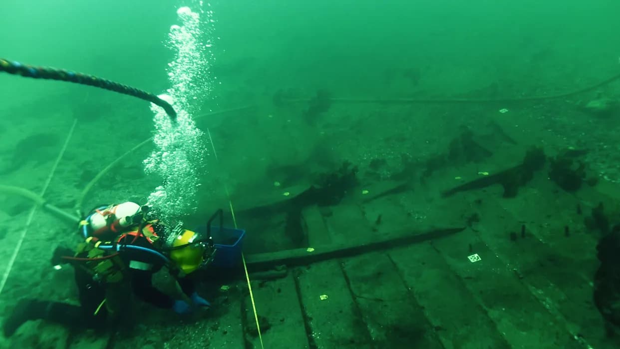 Largest Intact Cog Ever Found: 92‑ft 'Svælget 2' Unearthed Near Copenhagen