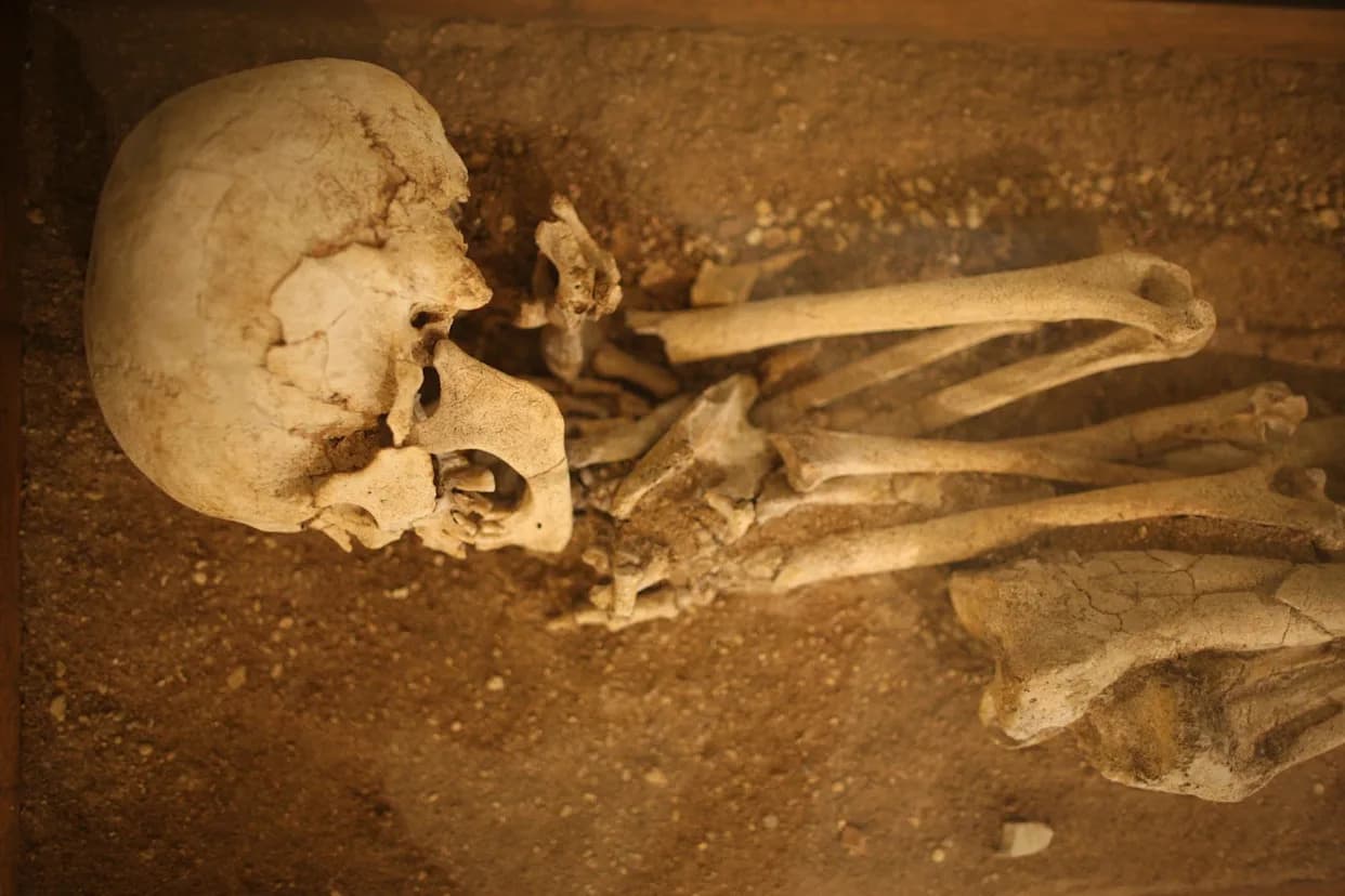 Workers Unearth 1,400-Year-Old ‘Princely’ Anglo‑Saxon Burials at Sizewell C
