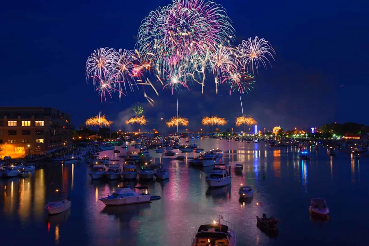 Fireworks Disturb Coastal Wildlife: Seals Alerted and Gulls Louder After Cape Town New Year Display
