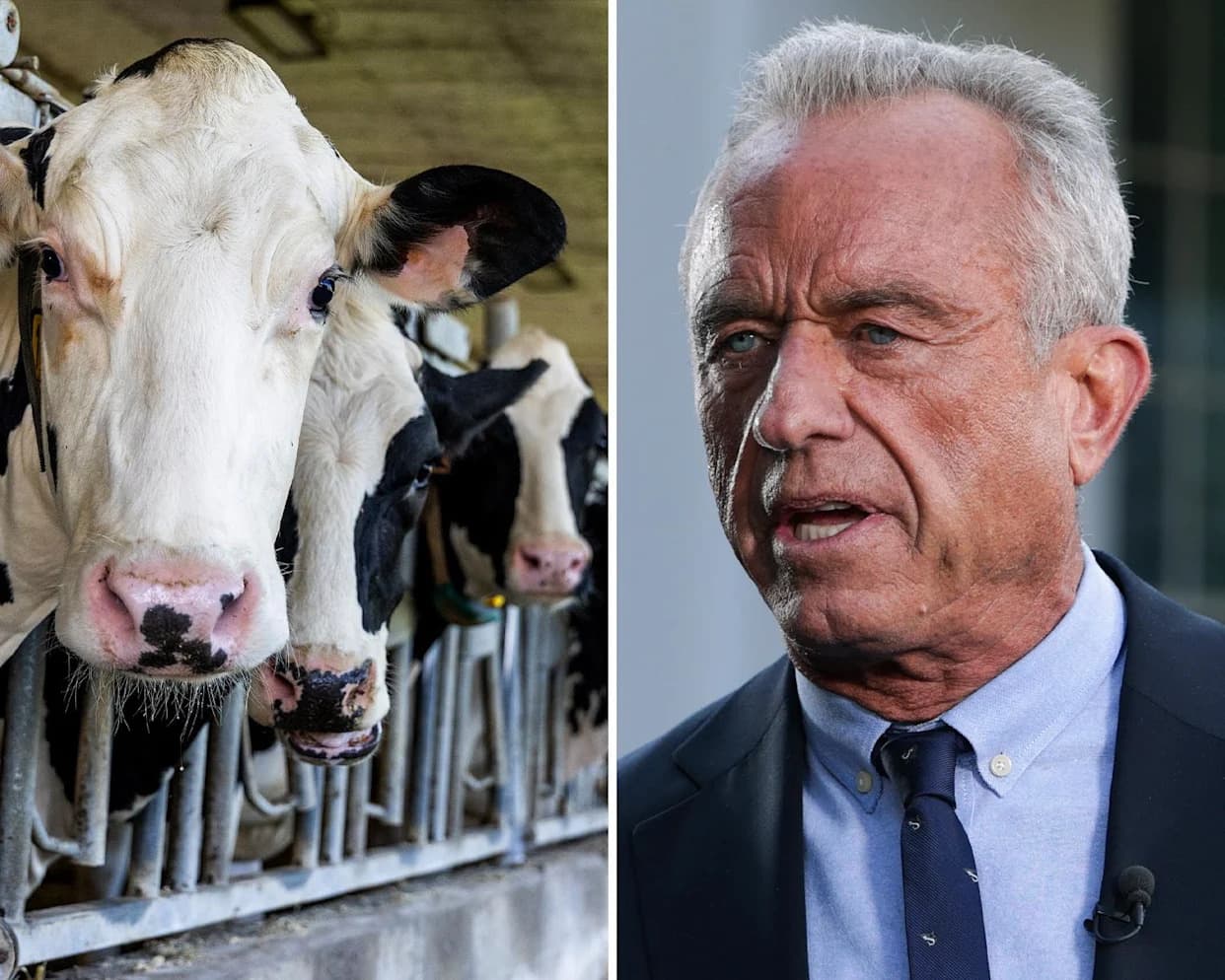 New Federal Diet Pushes More Meat — Experts Warn It Could Require 100M Acres And Spike Emissions