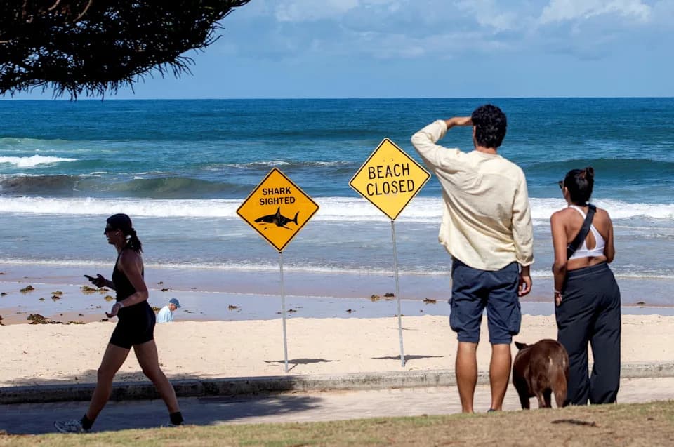 Four Shark Incidents in Three Days Close New South Wales Beaches; Officials Urge Swimmers to 'Use a Pool'