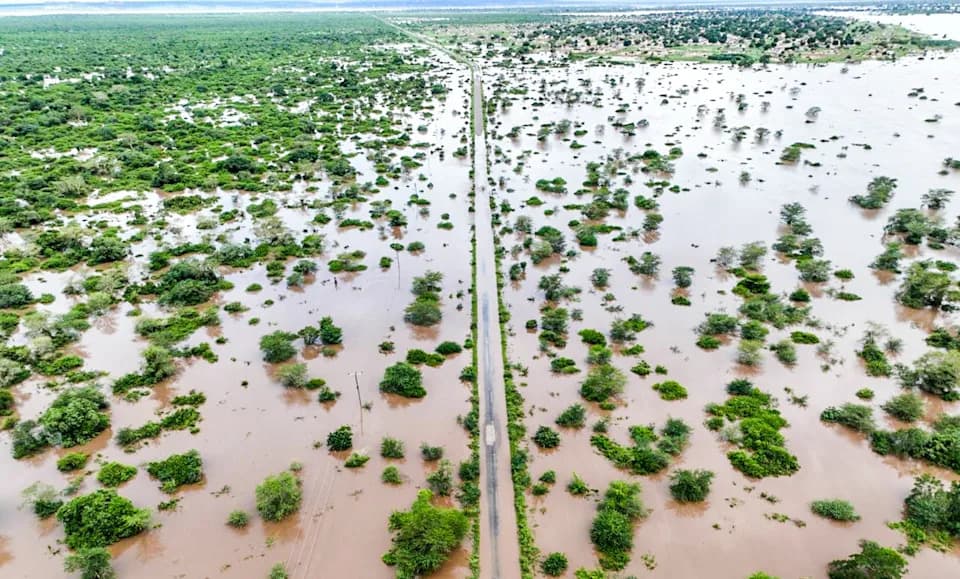 Devastating Floods Sweep Southern Africa: 100+ Dead, Hundreds of Thousands Displaced, Kruger Park Badly Damaged