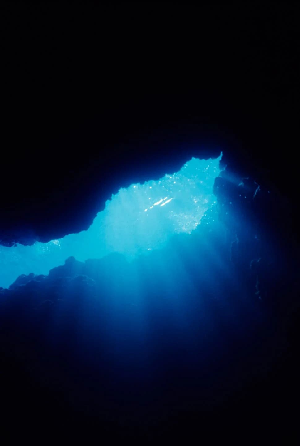 Jet‑Black Cocoons From the Ocean Abyss Yield a Previously Unknown Deep‑Sea Flatworm