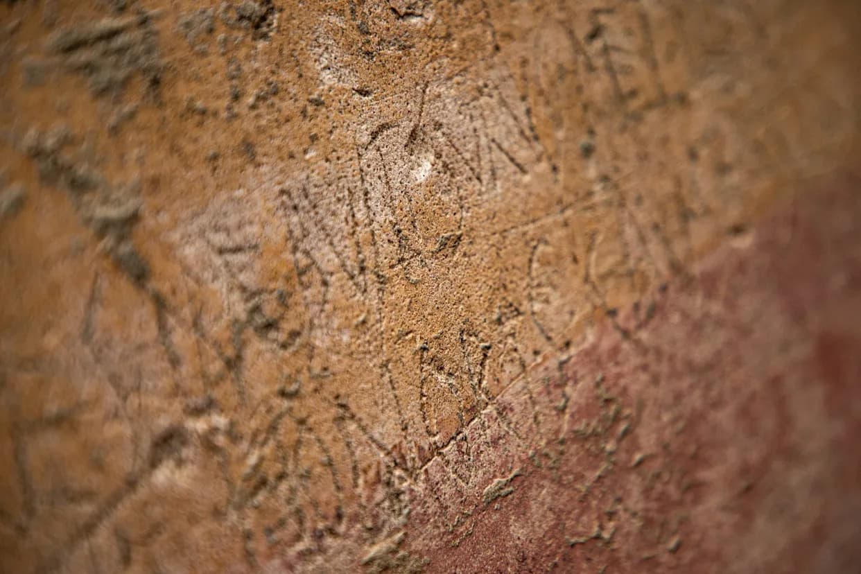 79 Newly Read Graffiti in Pompeii Reveal Intimate Snapshots of Everyday Life
