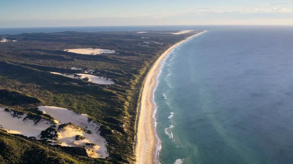 Teen Found Dead on K’gari: Dingo Bites and Drowning Deepen Safety and Conservation Debate