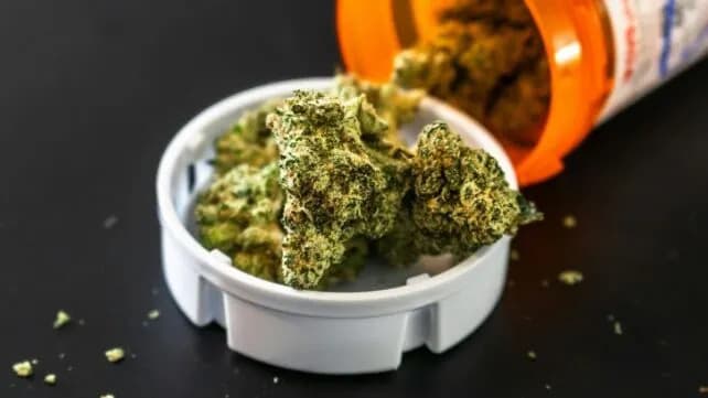 This Week in Science: Proposed THC Standard, Enigmatic 400‑Million‑Year‑Old Life, Oldest Cave Art & Health Breakthroughs