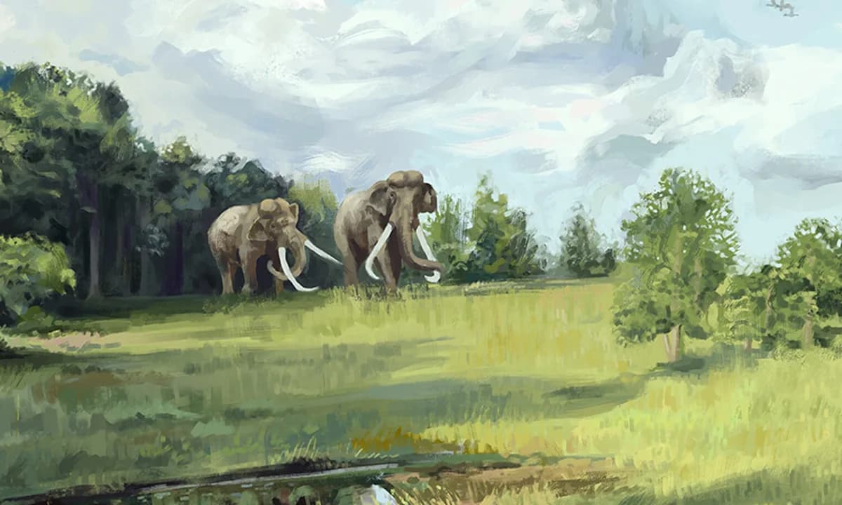 Boxgrove Fossil Shows Early Humans Used Elephant Bone as a Hammer to Sharpen Flint