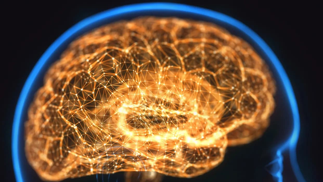 How Your Brain Invents Memories: Why the Mandela Effect Feels So Real